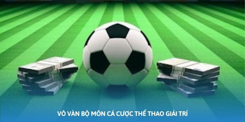 Vô vàn bộ môn cá cược thể thao giải trí