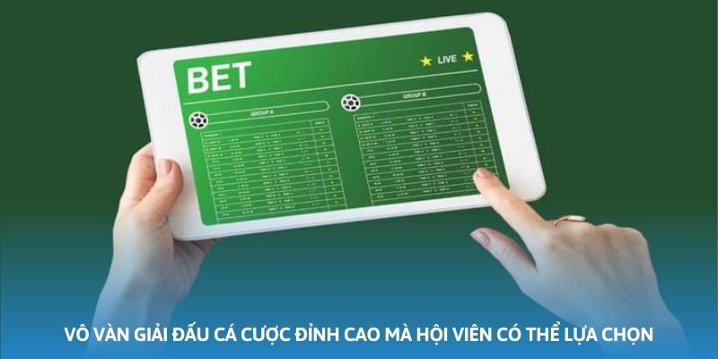 Vô vàn giải đấu cá cược đỉnh cao mà hội viên có thể lựa chọn